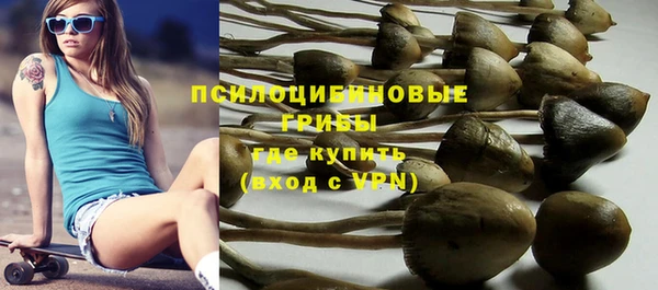 меф Горно-Алтайск