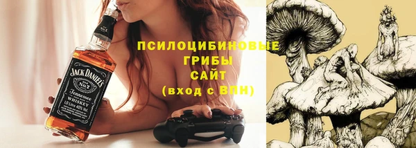 хмурый Горнозаводск