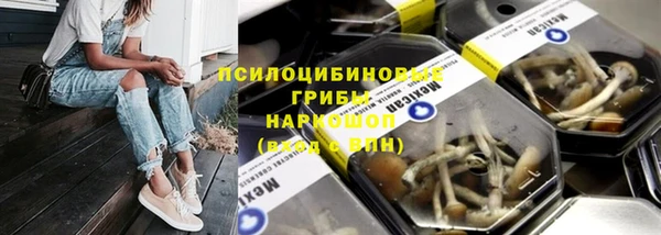 бутират Горняк