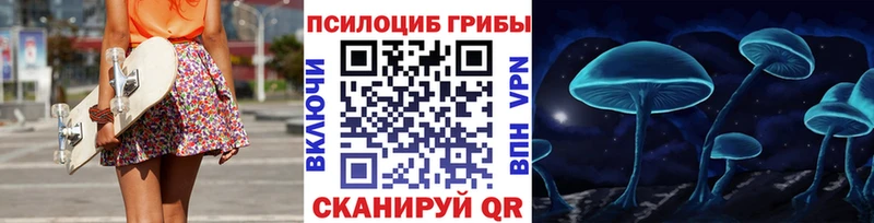 Купить  Кимры  Псилоцибиновые грибы Magic Shrooms 